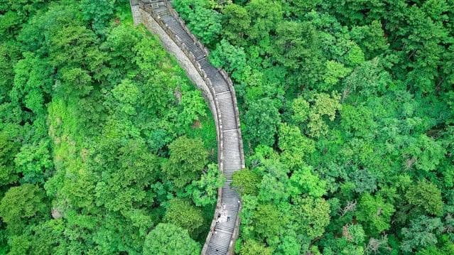 Cover Image for 数字化机遇与产品化困境